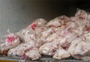 کشف ۲۶ تن گوشت مرغ منجمد تاریخ گذشته در اصفهان