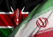 سفیر کنیا خواستار همکاری‌های علمی با ایران شد
