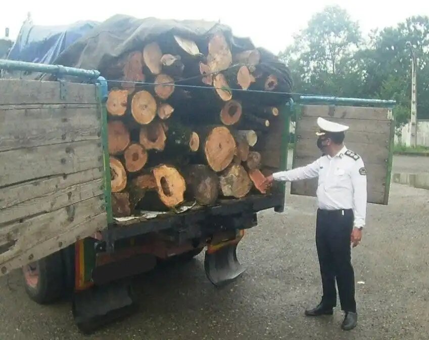 محکومیت قاچاقچی چوب‌های جنگلی