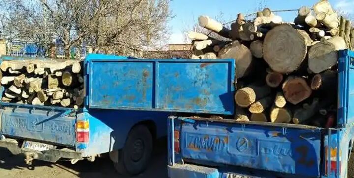 دستگیری قاچاقچیان چوب در شاهرود دستگیری قاچاقچیان چوب در شاهرود