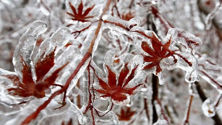کاهش محسوس دمای هوای همدان کاهش محسوس دمای هوای همدان