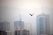 تهران در مرز آلودگی هوا قرار گرفت