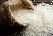 خرید توافقی برنج مازندران انجام شد