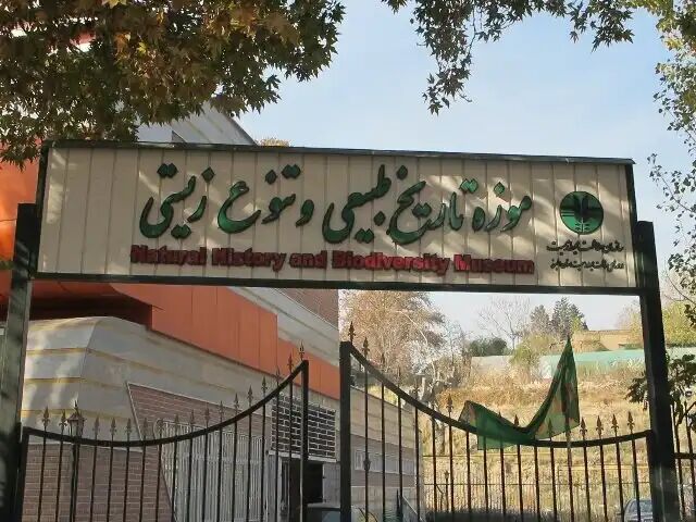 بازدید رایگان از موزه تاریخ طبیعی و تنوع زیستی البرز بازدید رایگان از موزه تاریخ طبیعی و تنوع زیستی البرز