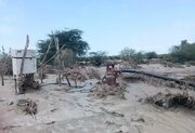 تمهیدات وزارت جهاد کشاورزی برای حل مشکلات کشاورزان خسارت دیده سیستان و بلوچستان