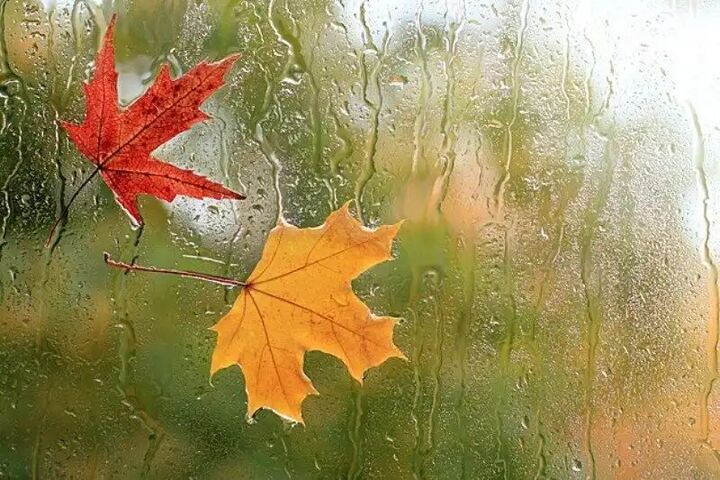 پایان هفته زنجان بارانی میشود پایان هفته زنجان بارانی میشود