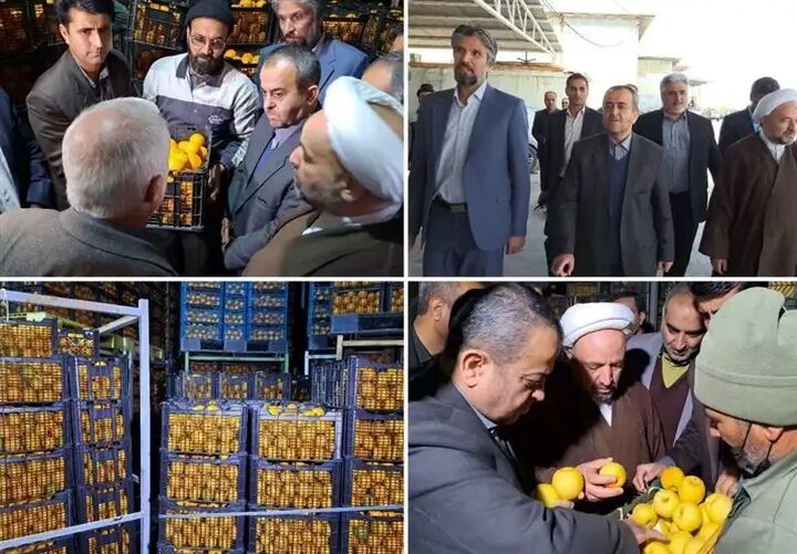 توزیع میوه شب عید از ۲۸ اسفند در سطح استان خراسان جنوبی توزیع میوه شب عید از ۲۸ اسفند در سطح استان خراسان جنوبی