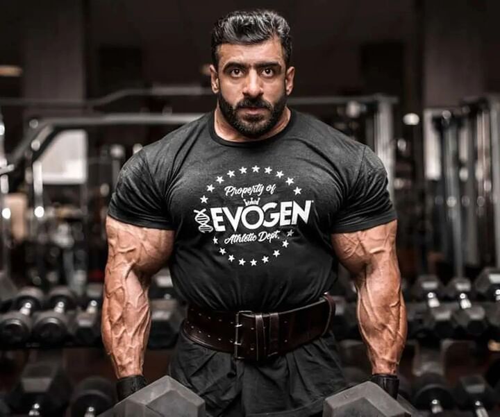 افتخاری دیگر برای گرگ ایرانی؛ چوپان لندن را هم فتح کرد افتخاری دیگر برای گرگ ایرانی؛ چوپان لندن را هم فتح کرد