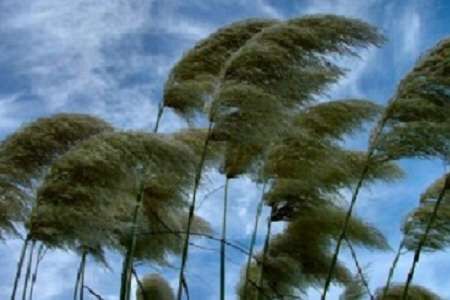 سرعت باد در استان مرکزی از ۸۰ کیلومتر بر ساعت فراتر رفت سرعت باد در استان مرکزی از ۸۰ کیلومتر بر ساعت فراتر رفت