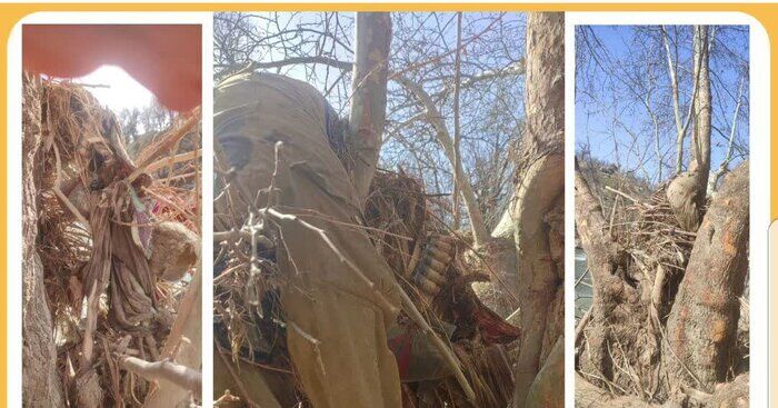 اسکلت یک مرد در رودخانه بلبرم ممسنی پیدا شد اسکلت یک مرد در رودخانه بلبرم ممسنی پیدا شد