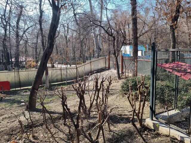 توضیح سخنگوی شهرداری تهران درباره ساخت مسجد در پارک قیطریه توضیح سخنگوی شهرداری تهران درباره ساخت مسجد در پارک قیطریه