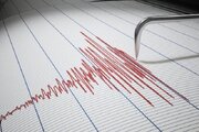 زمین لرزه ۵ ریشتری کانادا را لرزاند