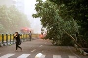 وزش باد موقتی در تهران/ پیش‌بینی افزایش دما