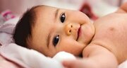 استان تهران رکورد دار میزان ولادت‌ها در سال گذشته