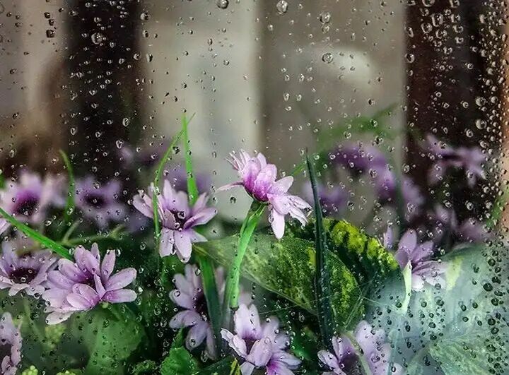 تداوم رگبارهای بهاری در سیستان وبلوچستان تا پایان هفته تداوم رگبارهای بهاری در سیستان وبلوچستان تا پایان هفته