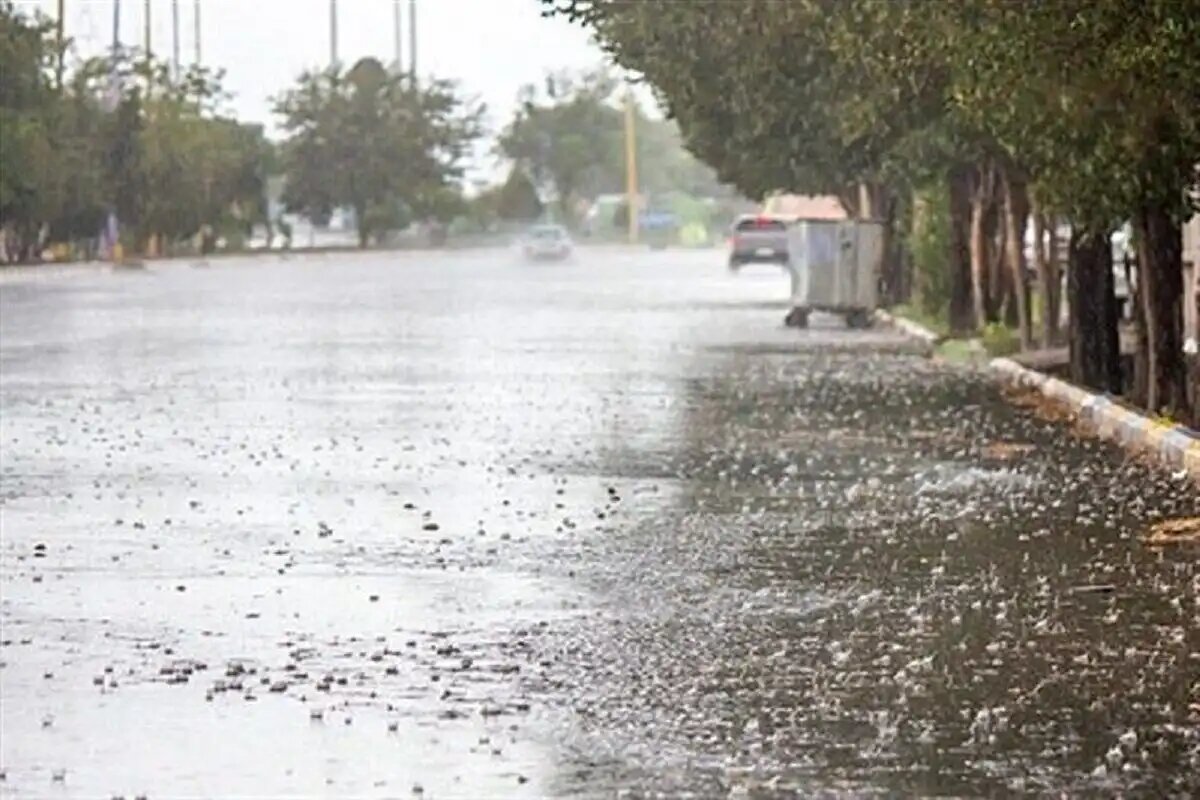 سامانه جدید بارشی در استان بوشهر فعال می‌شود