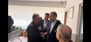 جلب رضایت ایرانیان خارج از کشور مورد تاکید رئیس جمهور است