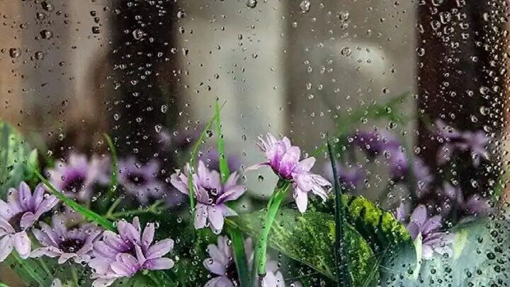 سامانه بارشی از امروز وارد ایلام میشود  سامانه بارشی از امروز وارد ایلام میشود