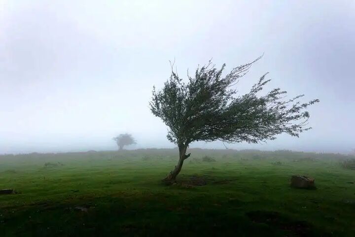 سرعت وزش باد در آران و بیدگل اصفهان به ۸۴ کیلومتر بر ساعت رسید