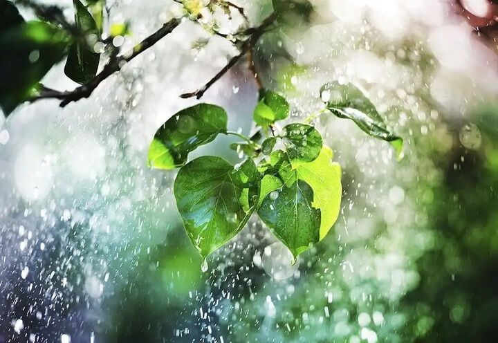 هشدار هواشناسی نسبت به بارشهای شدید در ۵ استان هشدار هواشناسی نسبت به بارشهای شدید در ۵ استان