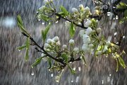 بارش‌های بهاری در سیستان‌وبلوچستان ادامه دارد