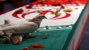 کنگره ۲ هزار شهید؛ بزرگترین رویداد فرهنگی کهگیلویه وبویراحمد