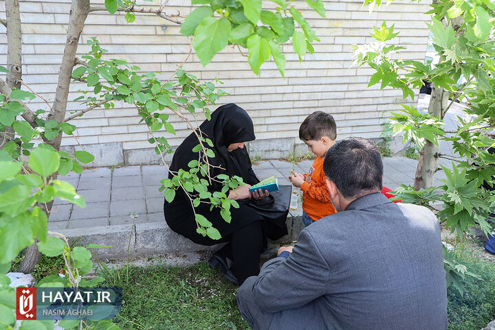 آغاز نوبت اول ماراتن بزرگ کنکور