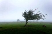 وزش باد در زنجان شدت می‌گیرد