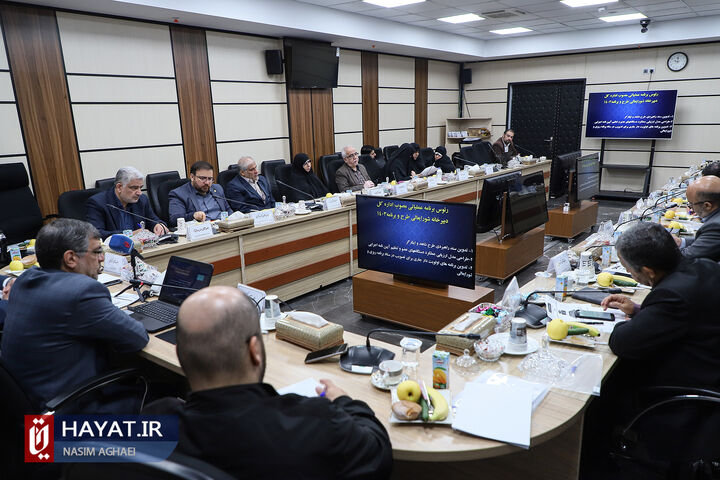 برگزاری کمیسیون تخصصی طرح و برنامه شاهد