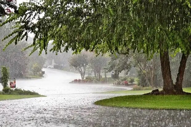ورود سامانه بارشی به کشور از سه‌شنبه