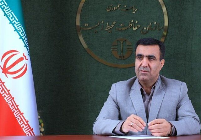 چوب لای چرخ دولت گذاشتن، خیانت به کشور است چوب لای چرخ دولت گذاشتن، خیانت به کشور است