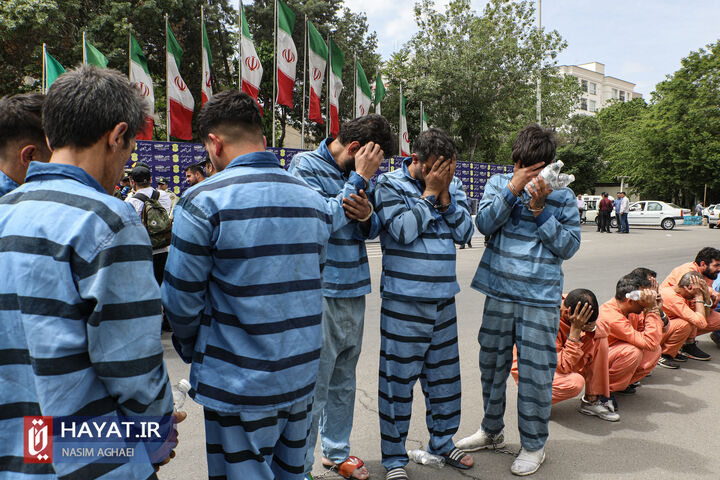 طرح دستگیری سارقان و مالخران