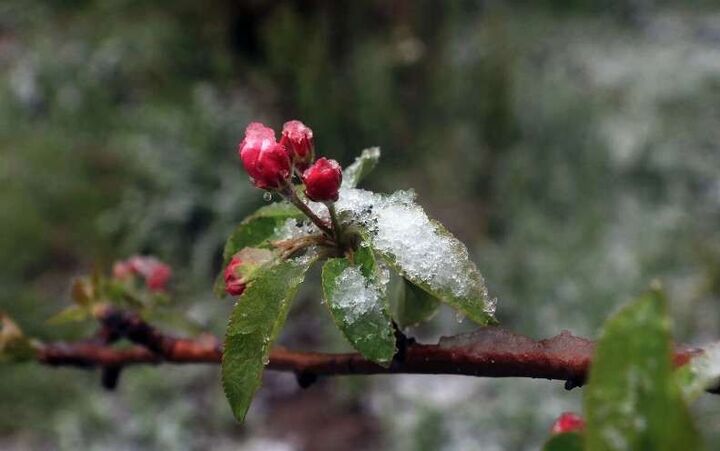 پیشبینی بارش برف و باران در آذربایجان شرقی پیشبینی بارش برف و باران در آذربایجان شرقی