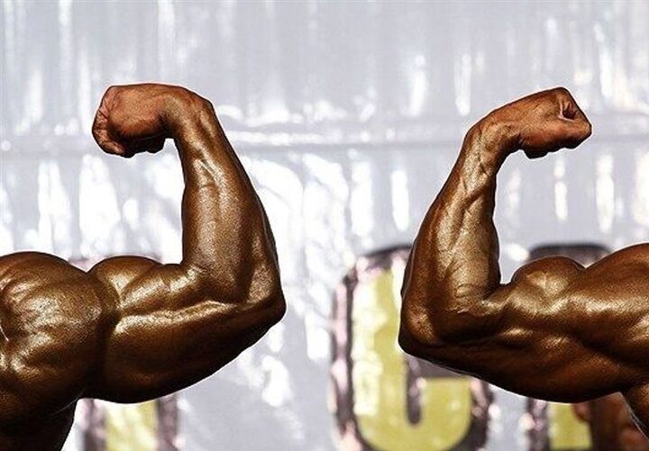 باز شدن پای حراست وزارت ورزش به مسابقه پرحاشیه بدنسازی باز شدن پای حراست وزارت ورزش به مسابقه پرحاشیه بدنسازی