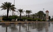 پیش‌بینی بارش باران در بوشهر