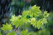 تداوم بارش‌ها در زنجان