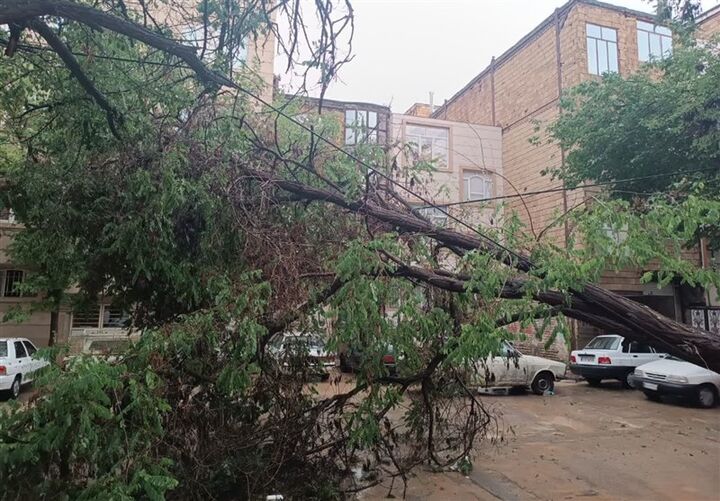 بارش بیسابقه مشهد در ۲۰ سال اخیر بارش بیسابقه مشهد در ۲۰ سال اخیر