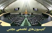 اجرای قانون مبارزه با قاچاق کالا و ارز در دستور کار این هفته مجلس