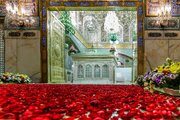 میلاد امام «علی بن موسی الرضا(ع)»؛ تو عشق هر دو جهانی، جهان و جان به فدایت...