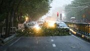 هشدار مدیریت بحران برای وزش باد شدید در تهران/ از سازه‌های سست و پشت‌بام‌ها فاصله‌ بگیرید