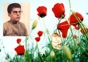شهید «محمدتقی امینیان»؛ طلبه شهیدی که رهبر انقلاب از عظمت روح او سخن گفتند