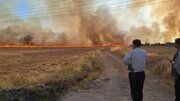 آتش سوزی منطقه «بلبزان» پاوه هنوز مهار نشده است
