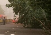 طوفانی شدید در تهران