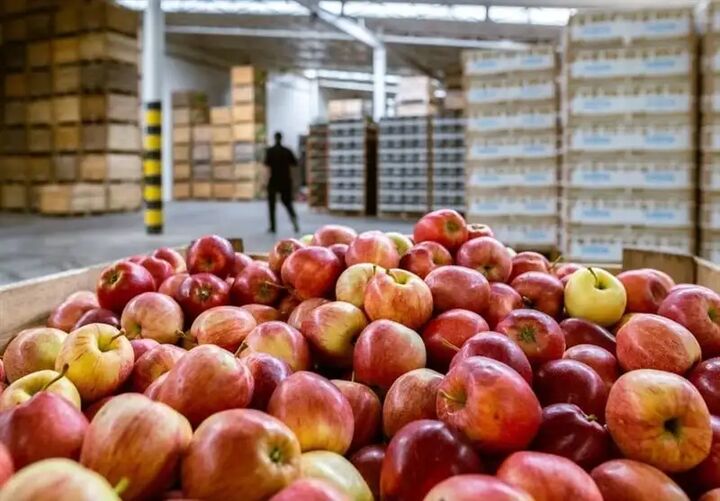 افتتاح سردخانه ۵ هزارتنی بروجن با حضور وزیر کشور افتتاح سردخانه ۵ هزارتنی بروجن با حضور وزیر کشور