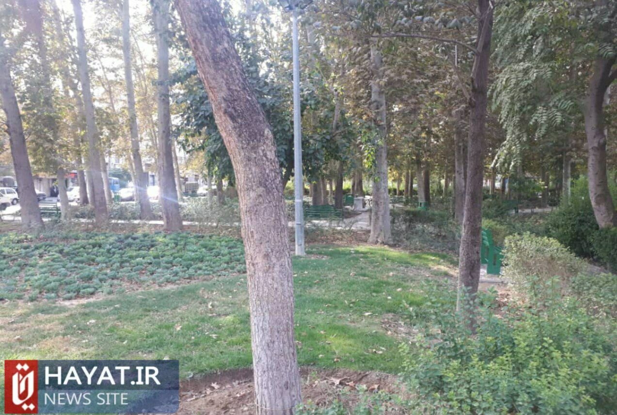 خداحافظی تهرانیها با سرسبزترین میدان پایتخت/ ترافیک شدید و دورشدن چند کیلومتری متری مسیر برای اهالی محله جی