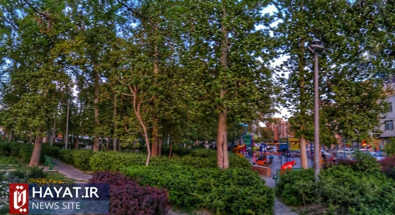 خداحافظی تهرانیها با سرسبزترین میدان پایتخت/ ترافیک شدید و دورشدن چند کیلومتری متری مسیر برای اهالی محله جی