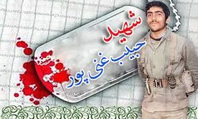 پیام تسلیت وزیر فرهنگ در پی درگذشت مادر شهید حبیب غنیپور پیام تسلیت وزیر فرهنگ در پی درگذشت مادر شهید حبیب غنیپور