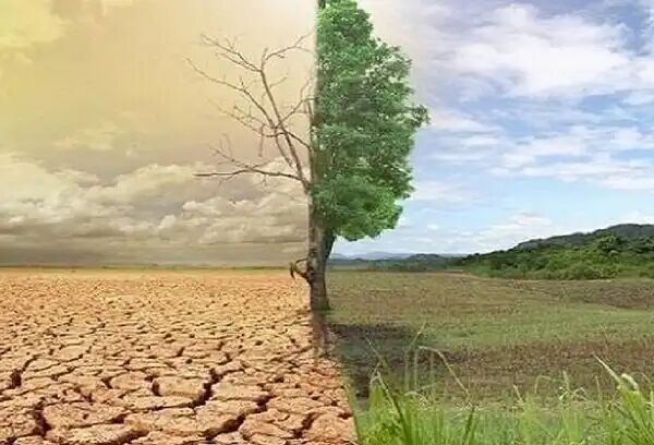 تفاهمنامه مشترک البرز و چین برای بیابان زدایی امضا شد تفاهمنامه مشترک البرز و چین برای بیابان زدایی امضا شد