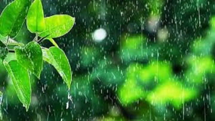 پیشبینی رگبار باران و رعد و برق در برخی از استانها پیشبینی رگبار باران و رعد و برق در برخی از استانها