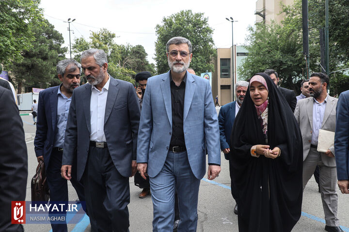 قاضی زاده هاشمی